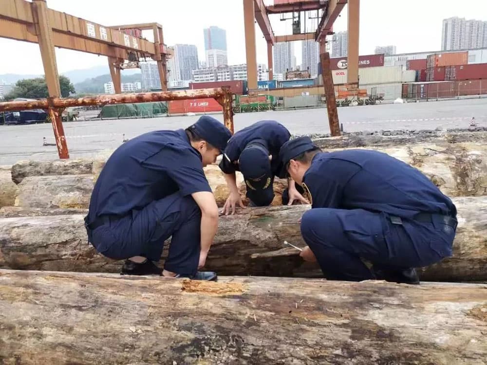 国产69精品久久久久人妻