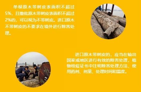 国产69精品久久久久人妻