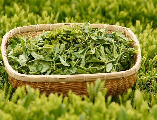 国产69精品久久久久人妻