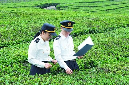 国产69精品久久久久人妻