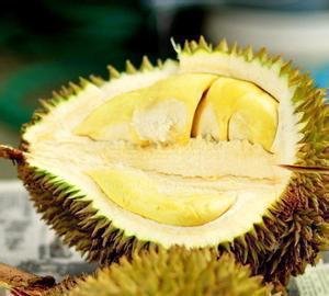 国产69精品久久久久人妻