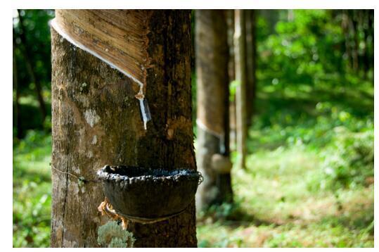 国产69精品久久久久人妻