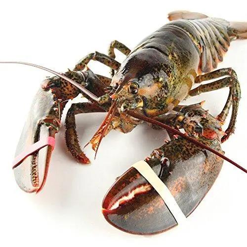 国产69精品久久久久人妻