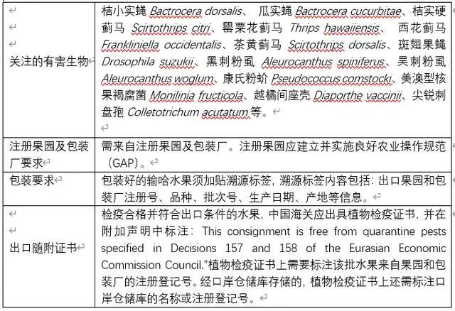 国产69精品久久久久人妻