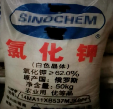 国产69精品久久久久人妻