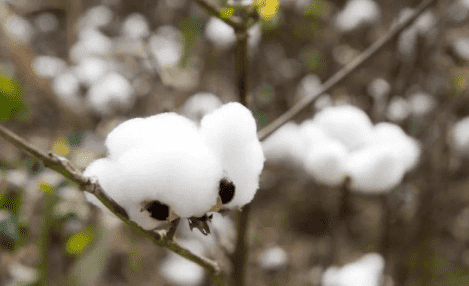 国产69精品久久久久人妻