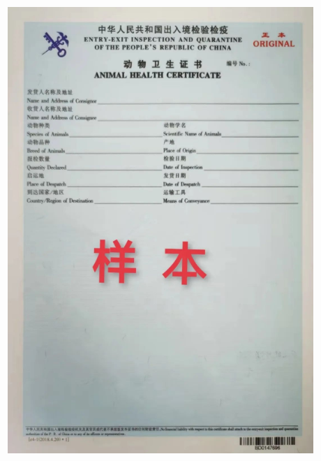 国产69精品久久久久人妻