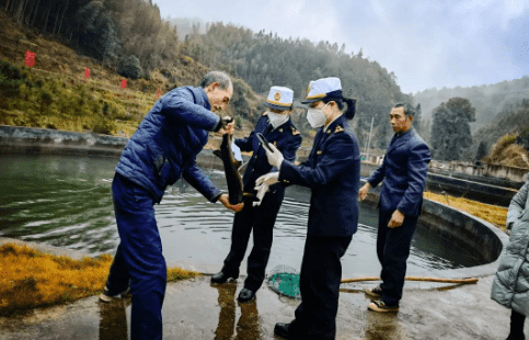 国产69精品久久久久人妻