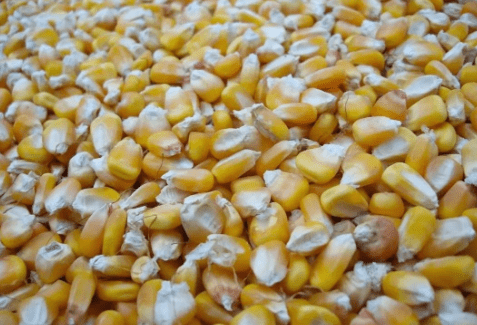 国产69精品久久久久人妻