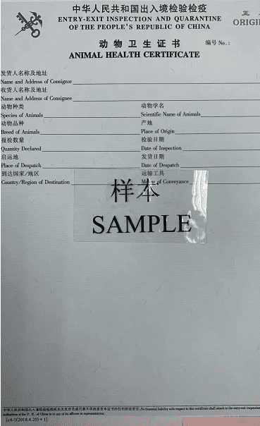 国产69精品久久久久人妻