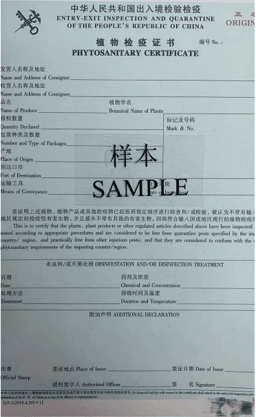 国产69精品久久久久人妻