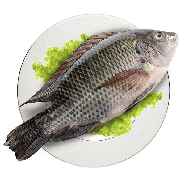 国产69精品久久久久人妻