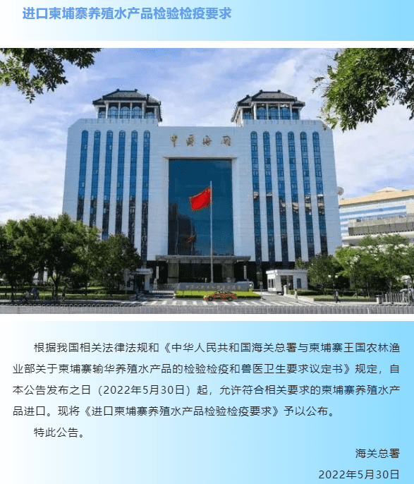 国产69精品久久久久人妻