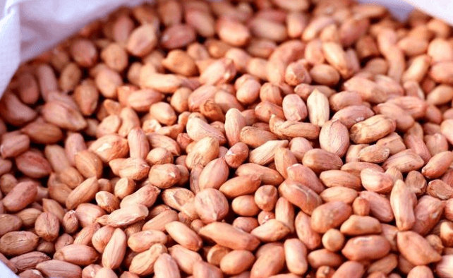 国产69精品久久久久人妻