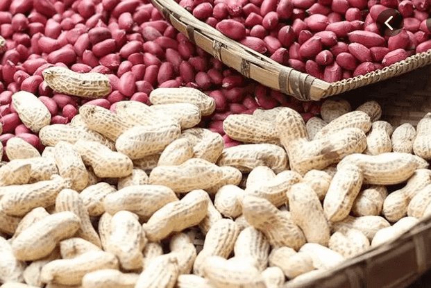 国产69精品久久久久人妻