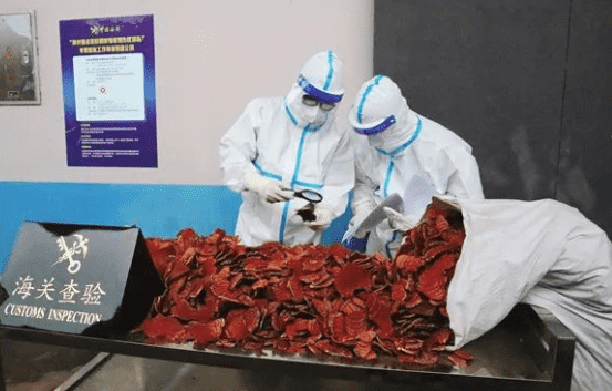 国产69精品久久久久人妻