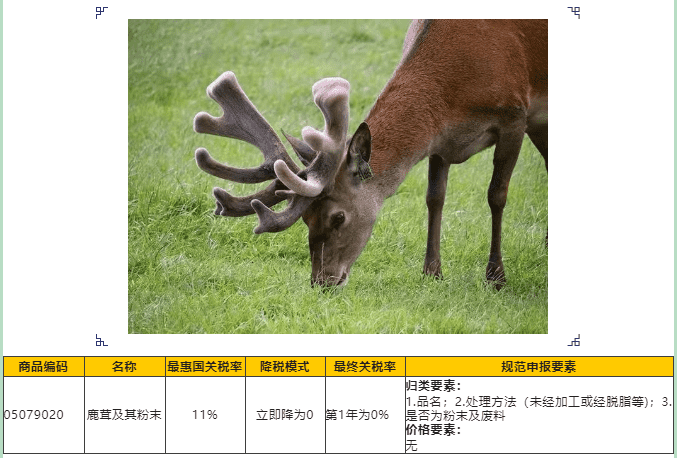 国产69精品久久久久人妻