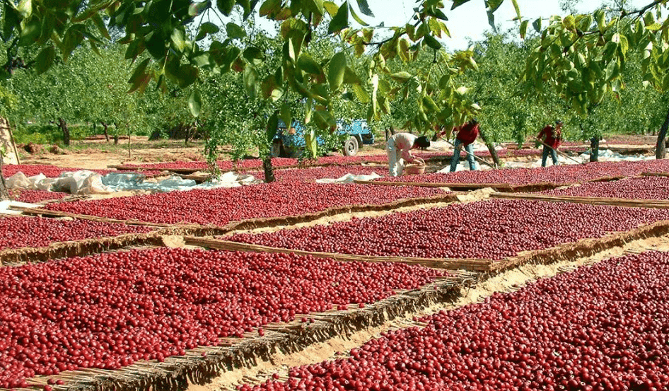 国产69精品久久久久人妻