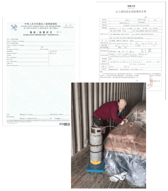 国产69精品久久久久人妻