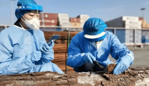 国产69精品久久久久人妻