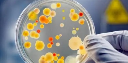 国产69精品久久久久人妻