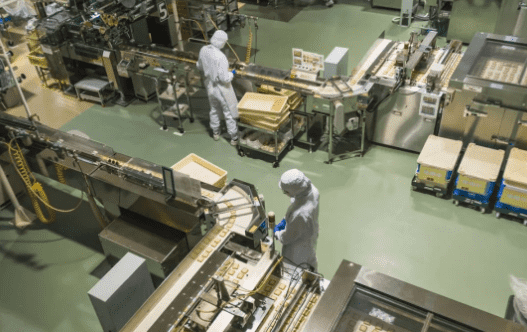 国产69精品久久久久人妻