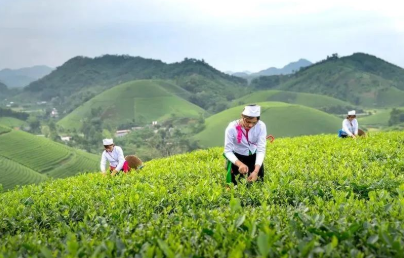 国产69精品久久久久人妻