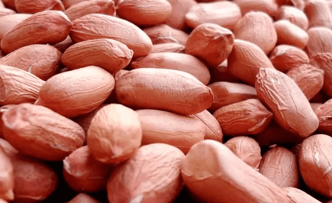 国产69精品久久久久人妻