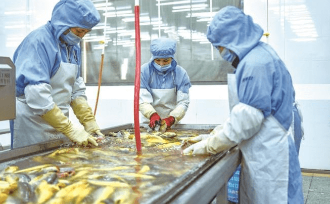 国产69精品久久久久人妻