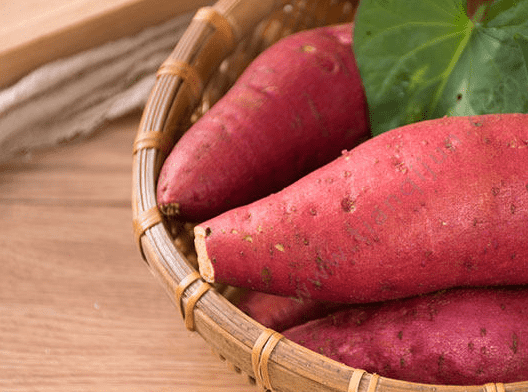 国产69精品久久久久人妻