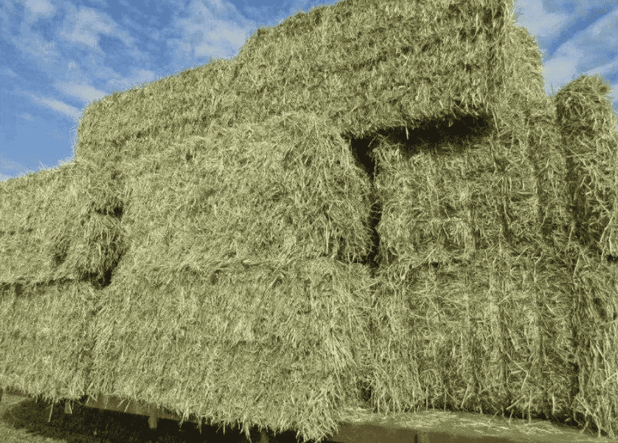 国产69精品久久久久人妻