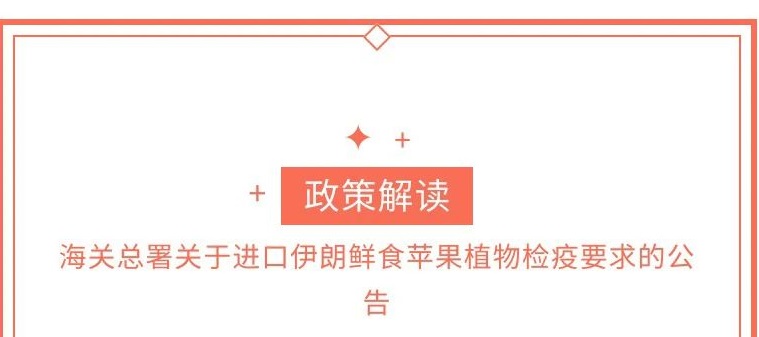 国产69精品久久久久人妻