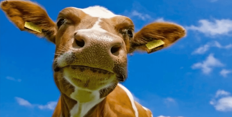 国产69精品久久久久人妻