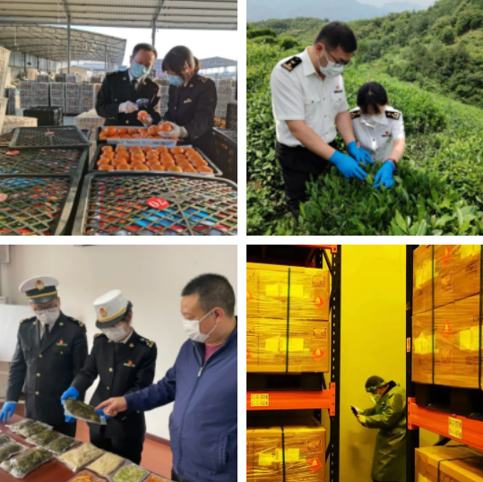 国产69精品久久久久人妻