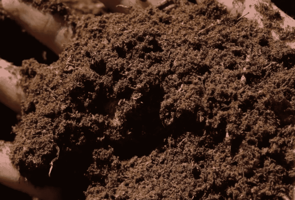 国产69精品久久久久人妻