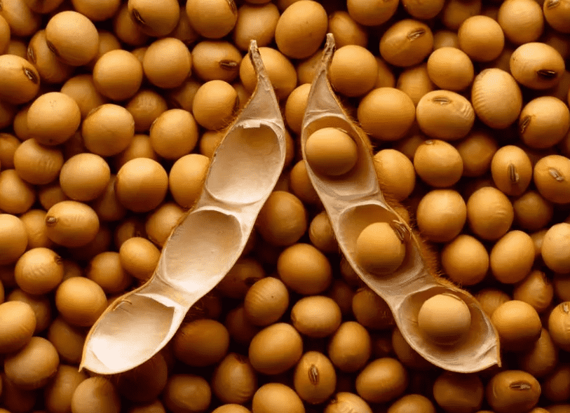 国产69精品久久久久人妻