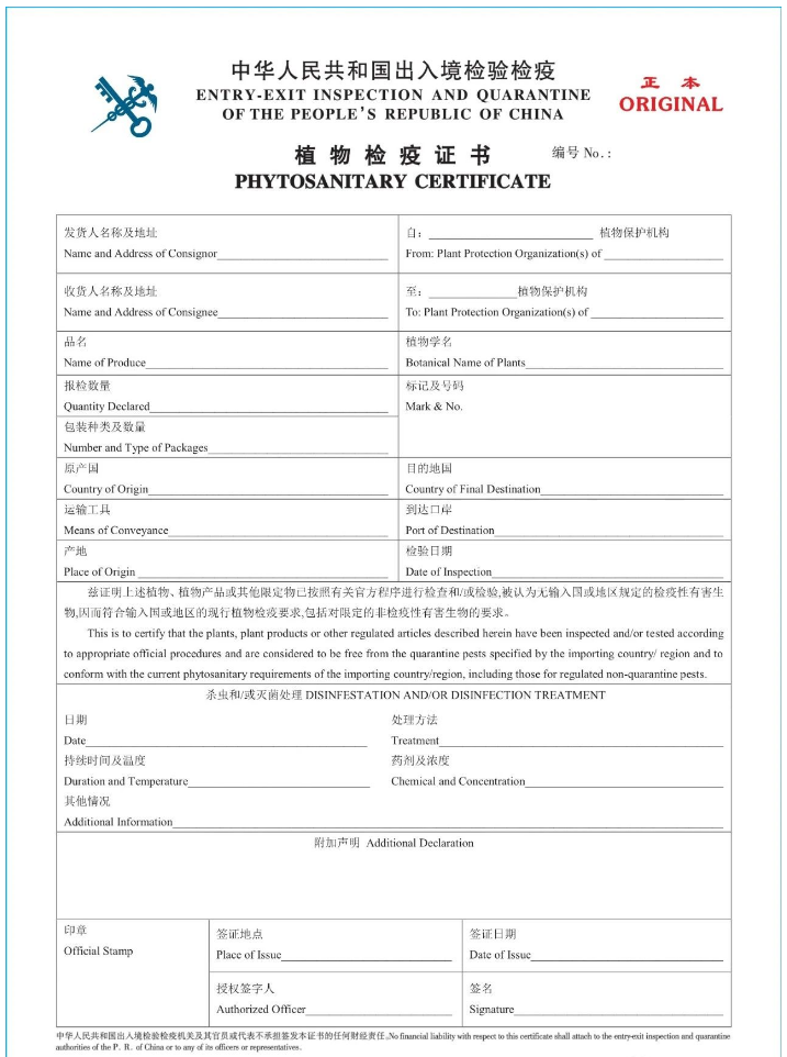 国产69精品久久久久人妻