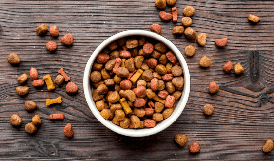 国产69精品久久久久人妻