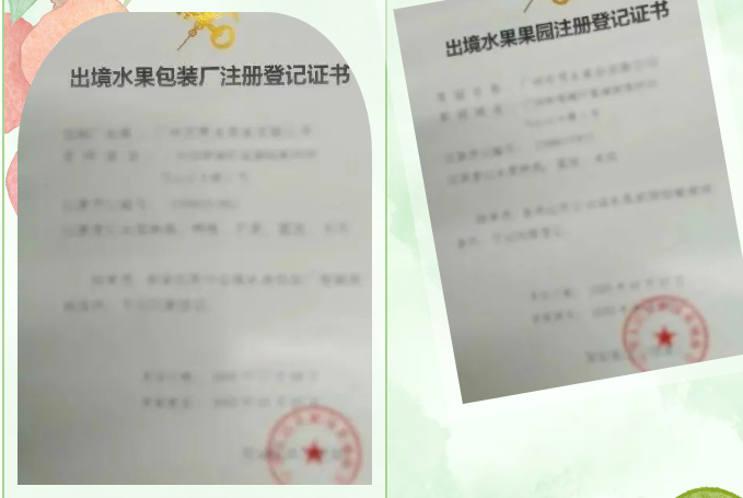 国产69精品久久久久人妻