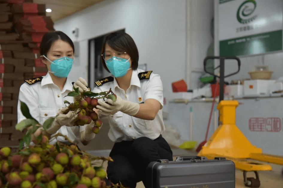 国产69精品久久久久人妻