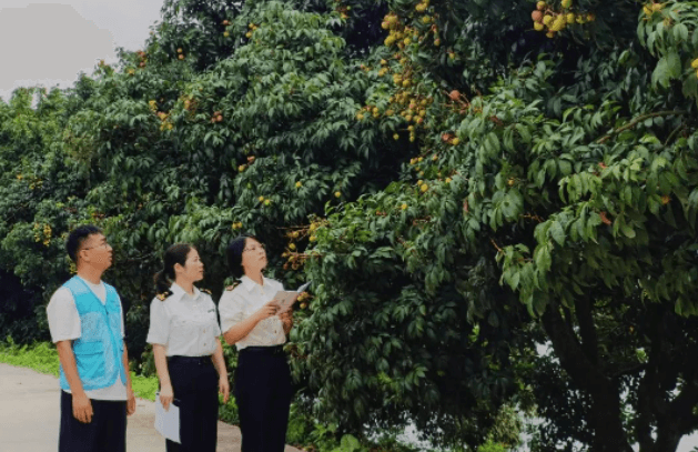 国产69精品久久久久人妻