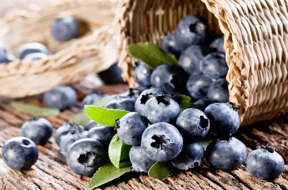 国产69精品久久久久人妻