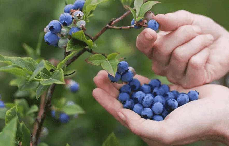 国产69精品久久久久人妻