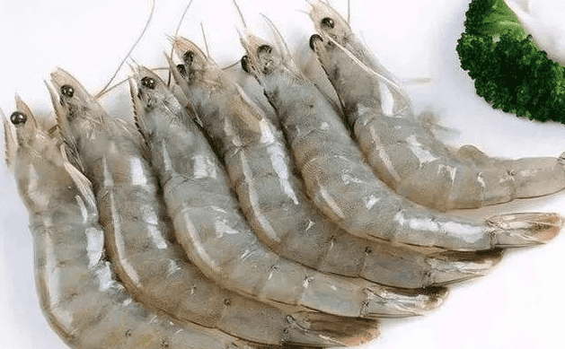 国产69精品久久久久人妻