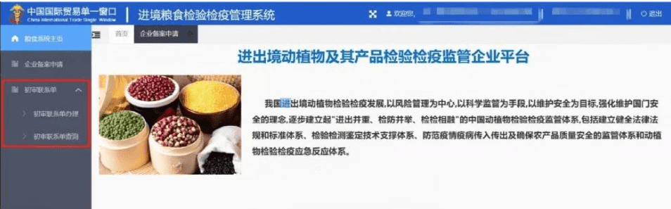 国产69精品久久久久人妻