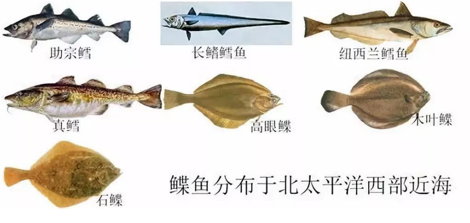 国产69精品久久久久人妻