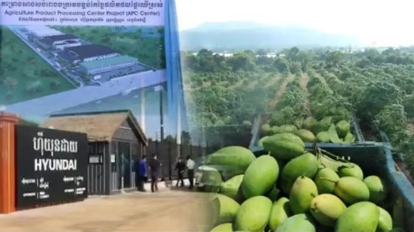 国产69精品久久久久人妻