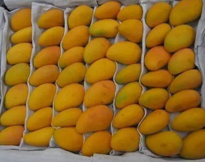 国产69精品久久久久人妻