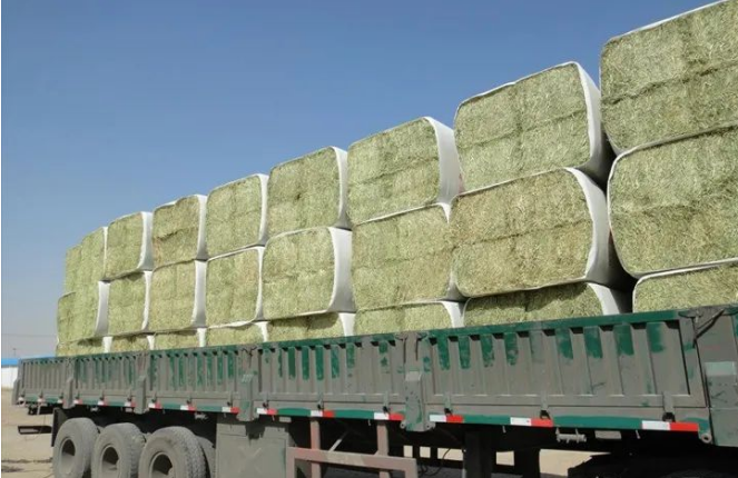 国产69精品久久久久人妻