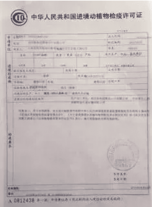 国产69精品久久久久人妻